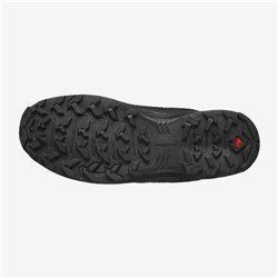 Ανδρικά παπούτσια outdoor Salomon X Braze Gtx