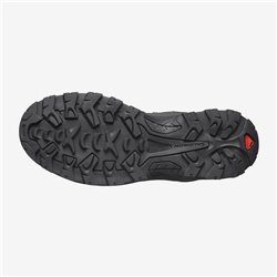 Aνδρικά δερμάτινα μποτάκια  πεζοπορίας  Salomon QUEST ROVE GTX