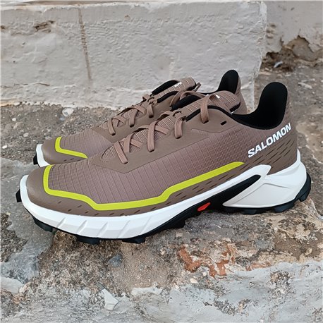 Salomon ALPHACROSS 5 ανδρικά παπούτσια ορεινού τρεξίματος 473131 474601
