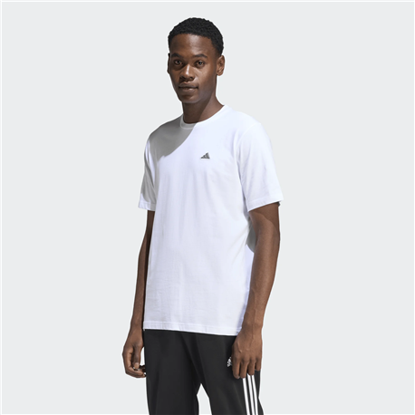 ADIDAS COLOR ICON GRAPHIC mens  t-shirt