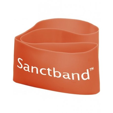 Λάστιχο Αντίστασης Sanctband Loop Band 